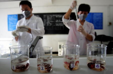 8月24日，成都市水生动物检验检疫站对青石桥海鲜市场的小龙虾进行抽样检测。IC 图