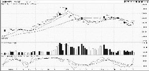 �ƽ��������