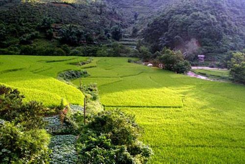 云南坝美村:恰似陶渊明笔下桃花源(图)