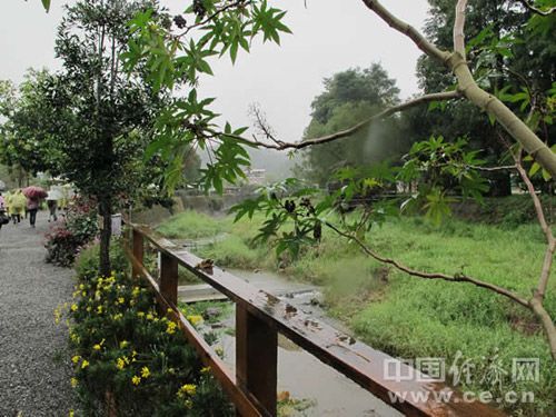 台湾921大地震后重建的桃米社区一角,让人感觉到的只有安静和祥和。 台湾921大地震后重建的桃米社区一角,让人感觉到的只有安静和祥和。