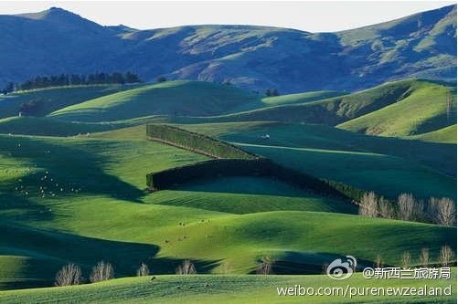 夏季层层叠叠的绿色 夏季层层叠叠的绿色