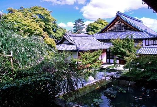 天龙寺 天龙寺