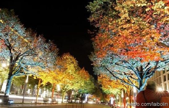 柏林菩提树下大街夜景 柏林菩提树下大街夜景