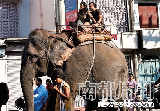 大概花100元人民币,就可以骑着大象在城里晃荡1个小时。 大概花100元人民币,就可以骑着大象在城里晃荡1个小时。