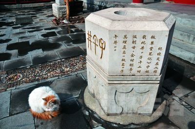 京城 京城