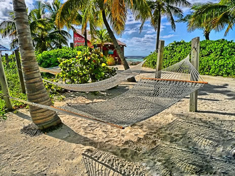 迪斯尼漂流岛(Castaway Cay) 迪斯尼漂流岛(Castaway Cay)