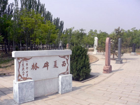 西夏碑林 西夏碑林