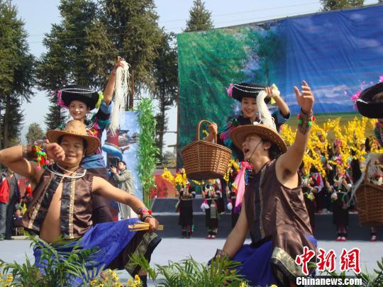 阿昌族民众身着艳丽的服饰,和着象脚鼓、芒锣的节奏,载歌载舞,欢度“阿露窝罗节” 。 杨洋 摄 阿昌族民众身着艳丽的服饰,和着象脚鼓、芒锣的节奏,载歌载舞,欢度“阿露窝罗节” 。 杨洋 摄