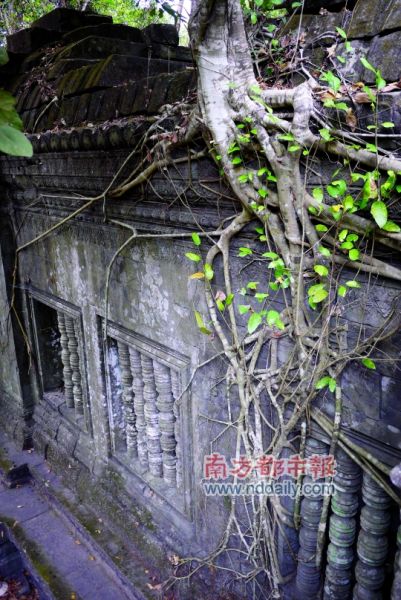 崩密列,树根拥抱着建筑生长。 崩密列,树根拥抱着建筑生长。