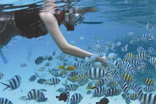潜水梦幻地 潜水梦幻地