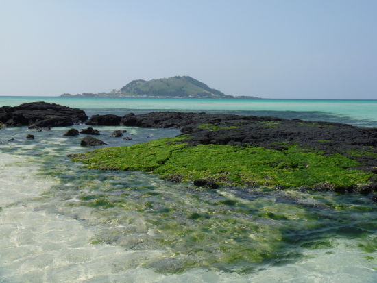 N爱吃菠菜:济州岛的挟才海滩,海水呈现宝石蓝、孔雀绿等多种姿态,加上济州独有的黝黑火山石作衬托,使这里的景致独一无二。对面的小岛就是《春日》里高贤贞,赵仁成,池珍熙的浪漫燃烧地。 N爱吃菠菜:济州岛的挟才海滩,海水呈现宝石蓝、孔雀绿等多种姿态,加上济州独有的黝黑火山石作衬托,使这里的景致独一无二。对面的小岛就是《春日》里高贤贞,赵仁成,池珍熙的浪漫燃烧地。