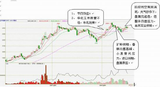玉米震荡趋涨重心逐步上移