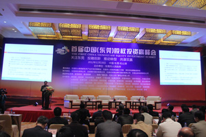 首届中国(东莞)股权投资高峰会
