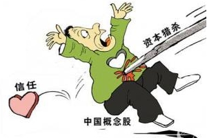 中国式浑水公司中能兴业