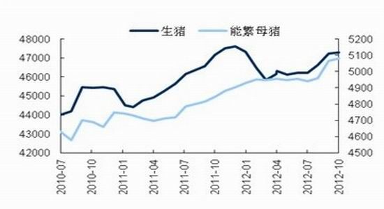 国际期货:市场多空焦灼连玉米弱势整理