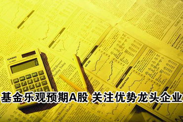 基金乐观预期A股走势 关注优势龙头企业
