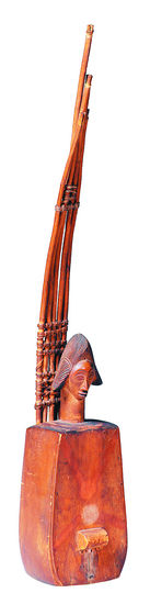 弦乐器 普努族 弦乐器 普努族