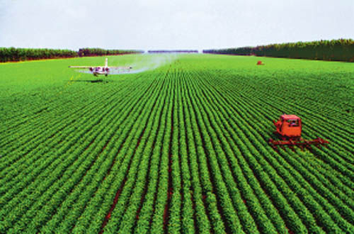解决食品安全问题需要农业高度产业化|食品安