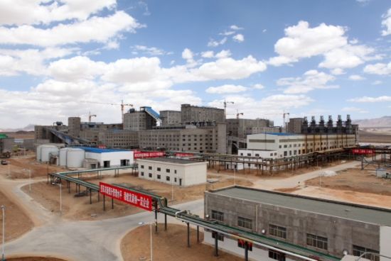 三友集团:老树新枝叶渐茂 绿苗逢春正盎然|三友