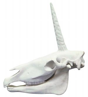 高偉剛作品《發現》