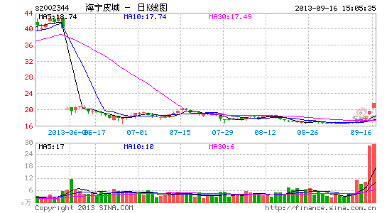 海宁皮城:网购平台上线 期待双剑合璧|股票|股市