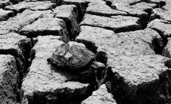 1981年大旱时的河南之行|李鹏回忆录|河南大旱|电网