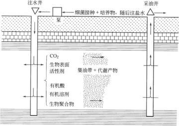 关于胜利油田关于化学吞吐技术的的毕业论文格式模板范文