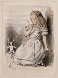 《爱丽丝与白兔》