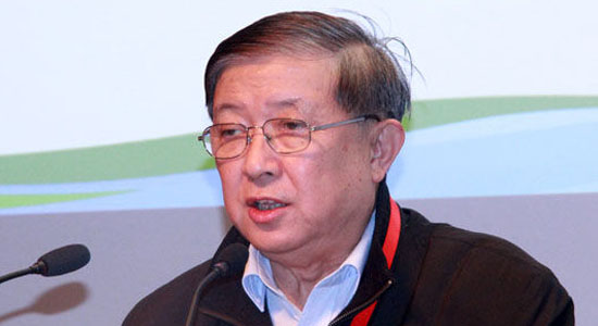 徐冠华：2030我国石油对外依存度将超70%