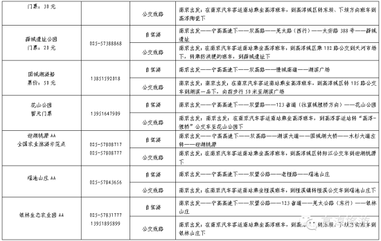 高淳国际慢城金花旅游节 高淳国际慢城金花旅游节