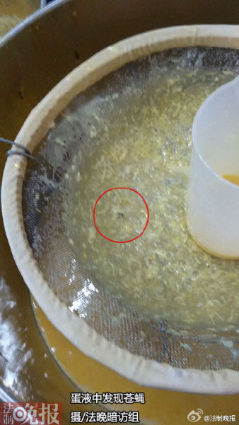 卫生问题。3月18日，打料间一工人在蛋液中筛出一只苍蝇，组长将苍蝇装在袋子里，这桶蛋液继续使用摄/法制晚报暗访组