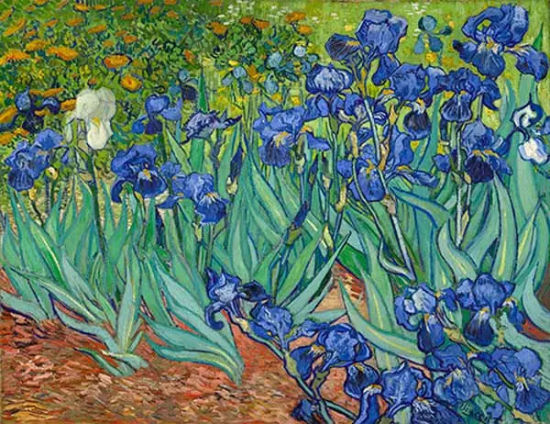 　　《鸢尾花》(Irises，1889)