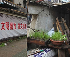 人޽ڳǽ ȫ