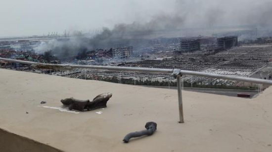 天津滨海大爆炸:地产之殇|天津滨海|爆炸|地产
