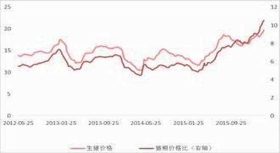 方正中期:市场化改革玉米弱势主旋律