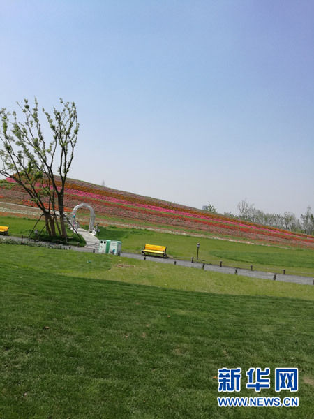 “马可·波罗花世界” “马可·波罗花世界”
