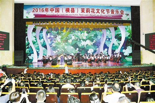 茉莉花文化节音乐会现场。 茉莉花文化节音乐会现场。