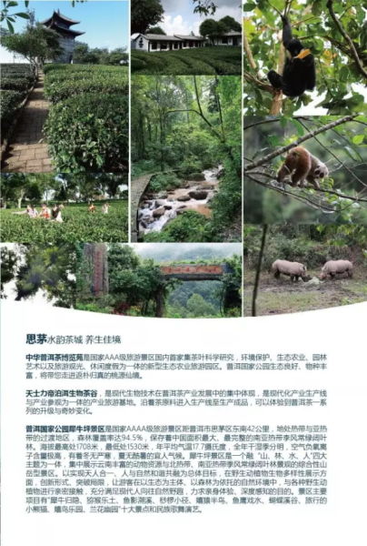 中国普洱茶节旅游线路推介 中国普洱茶节旅游线路推介