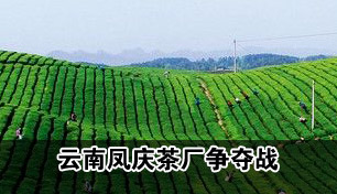 ���Ϸ���賧���ᱳ��