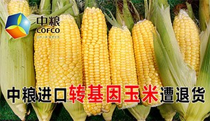 ������������ת�����������˻�