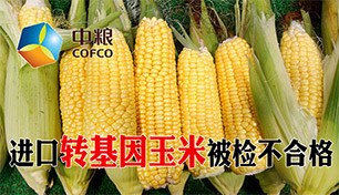 ������������ת�����������˻�