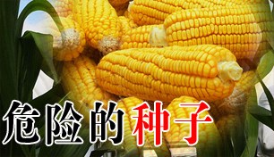 Σ�յ�����