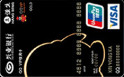 ҵQQ VIPVISAŰ棨+VISA+Ԫտ