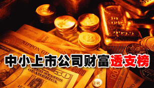 С��������2010��С���й�˾�Ƹ�͸֧��