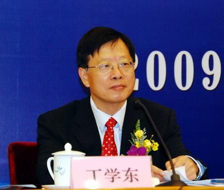 图为现任国务院副秘书长丁学东。