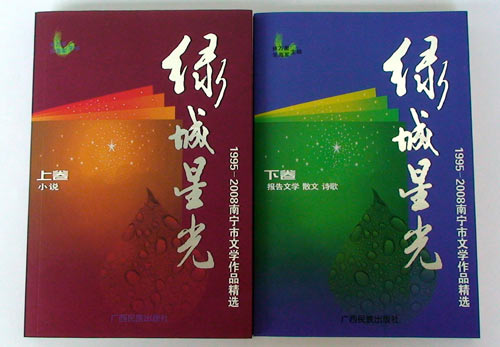 文化成果展示:绿城星光·南宁市文学作品精选