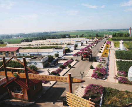 哈尔滨市南岗区有个再生红旗乡(图)