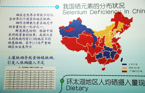 富含硒的大闸蟹 吃出健康新滋味(组图)