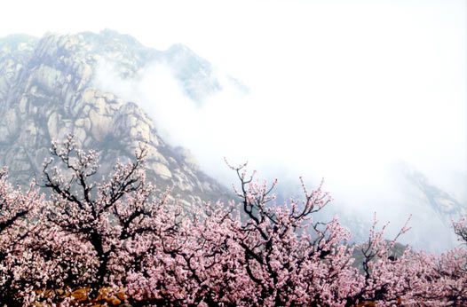 最佳接待单位候选:北京凤凰岭自然风景公园