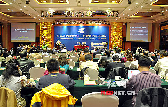 第二届中国“观赏石·矿物晶体”国际论坛在湖南郴州举行